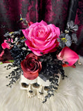 Twin Skulls - Home Decor Display