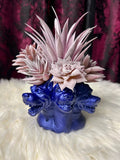 Three Headed Dog - Home Decor Display