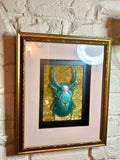 Home Decor - Bugs Bugs Bugs frame