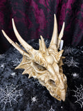 Antique Dragon Skull Head 26 x 17cm