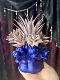 Three Headed Dog - Home Decor Display