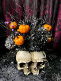 Twin Skulls - Home Decor Display
