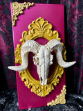 Adorned Sin - Skull Decor