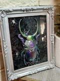 Home Decor - Bugs Bugs Bugs frame