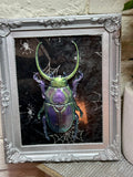 Home Decor - Bugs Bugs Bugs frame