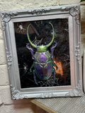 Home Decor - Bugs Bugs Bugs frame