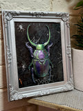 Home Decor - Bugs Bugs Bugs frame