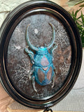 Home Decor - Bugs Bugs Bugs frame (Glow in the Dark)