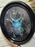 Home Decor - Bugs Bugs Bugs frame (Glow in the Dark)