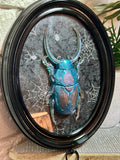 Home Decor - Bugs Bugs Bugs frame (Glow in the Dark)