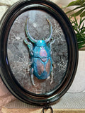 Home Decor - Bugs Bugs Bugs frame (Glow in the Dark)