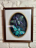 Home Decor - Bugs Bugs Bugs frame