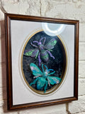 Home Decor - Bugs Bugs Bugs frame