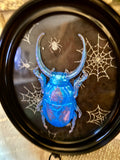 Home Decor - Bugs Bugs Bugs frame (Glow in the Dark)