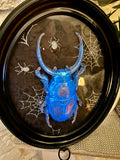 Home Decor - Bugs Bugs Bugs frame (Glow in the Dark)