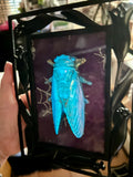 Home Decor - Bugs Bugs Bugs frame (Glow in the Dark)