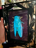 Home Decor - Bugs Bugs Bugs frame (Glow in the Dark)