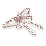 Ceramic Trinket Dish Luna Moth
