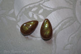 Tropical Caramel Tear Drop shape earrings - small