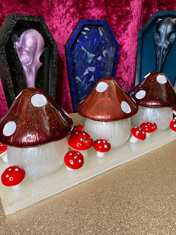Deluxe Mushroom Caddy - Slender tray