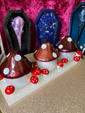 Deluxe Mushroom Caddy - Slender tray