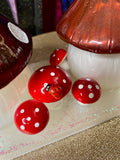 Deluxe Mushroom Caddy - Slender tray